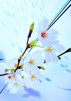人生の教科書〜by若葉萌夏〜