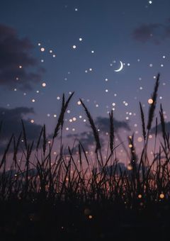 月夜の約束🌙
