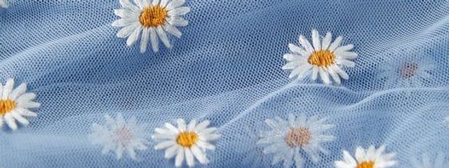 IᖇᑌKᗩ🐬🩵🍫さんの壁紙画像