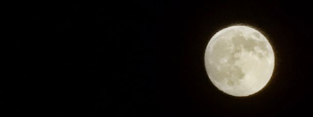 ヒナノさんの壁紙画像