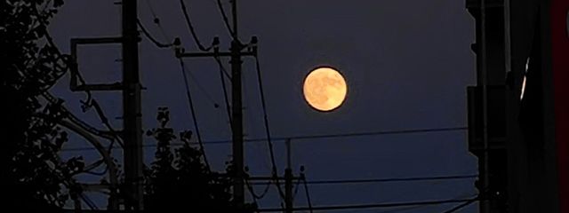 ラブカさんの壁紙画像