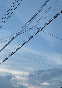 ぱーりない(雑)