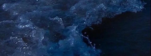 angelさんの壁紙画像