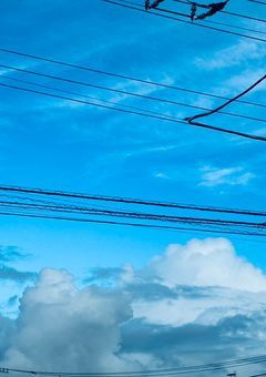 7年ぶりの恋、実りました