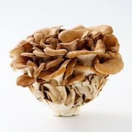 なみこさんのアイコン画像