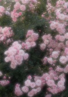 目黒家の日常