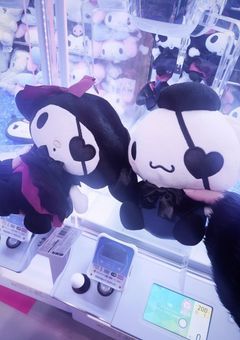 主について
