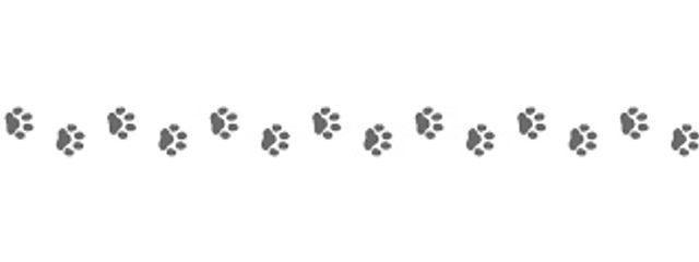 黒蓮さんの壁紙画像