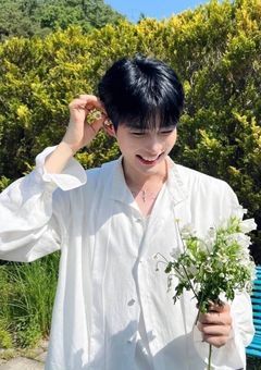 The sun, the stars, and the moon