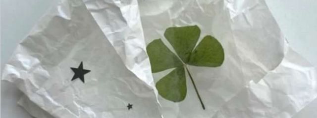 # ねむ 。さんの壁紙画像