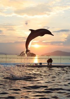 烏野の1年マネ愛され体質でぶりっ子にも愛された