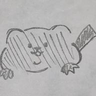 どうもしゃけ郎ですさんのアイコン画像