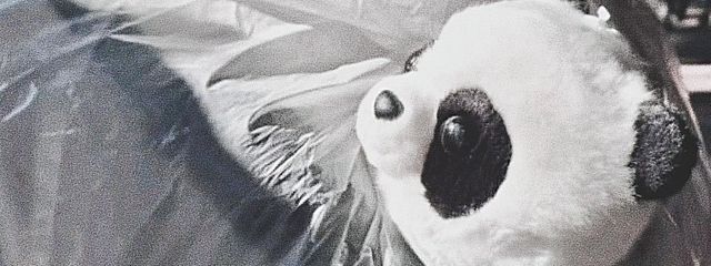 asa.さんの壁紙画像