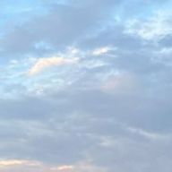 ミートゥーさんのアイコン画像