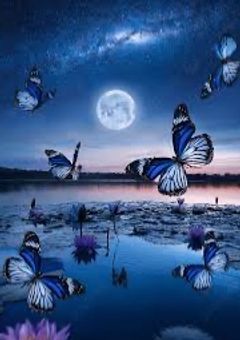 童磨が溺愛する女の子