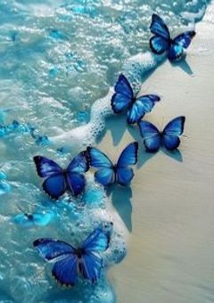 🦋関係者募集中🍫