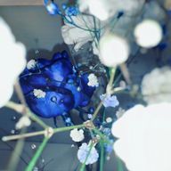 鈴姫(ฅ*'ᵕ'*ฅ)さんのアイコン画像