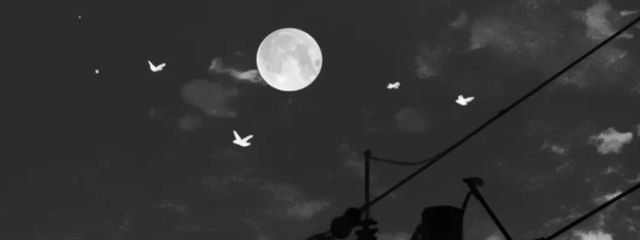 PJC☆。さんの壁紙画像