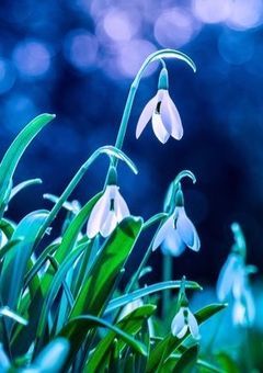 二人一組になってください