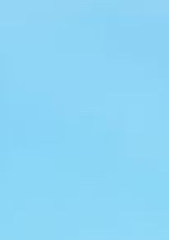 黒猫、拾われる