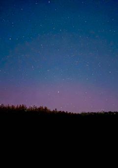 『そんな顔、俺以外に見せんな。』