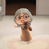 つむぎさんのアイコン画像