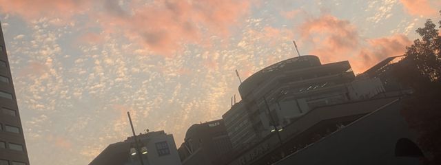 yuiさんの壁紙画像