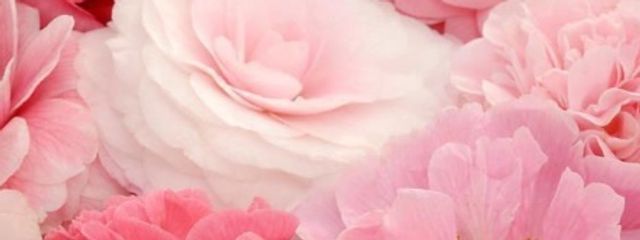 みっつーんさんの壁紙画像