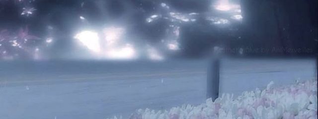 9/6 更新予定 .ᐟ.ᐟさんの壁紙画像