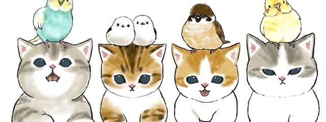 もかさんの壁紙画像