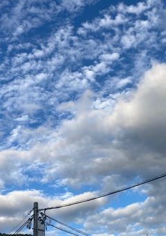 嵐とよにの