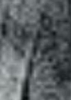 “桃”の兄に”全てを奪われた”