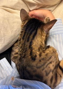 一言だけいうへや