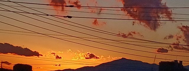 氷姫🧊🥀@あいすさんの壁紙画像