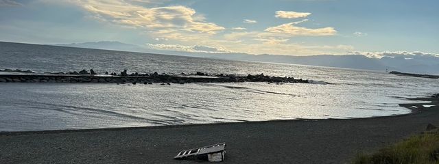 あろひたし🐬🫧🌱さんの壁紙画像