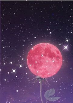 ZEROBASEONEの妹になりました