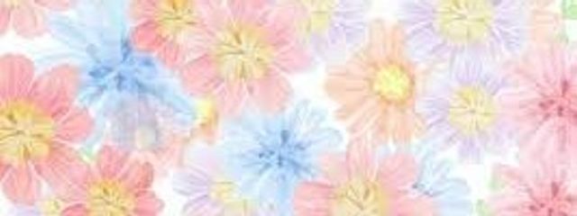 芽衣色(めいろさんの壁紙画像