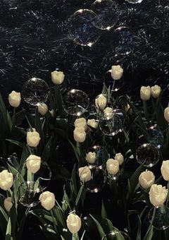 𝒚𝒐𝒖𝒕𝒉