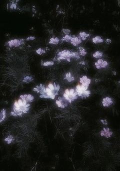 恋の窒息死