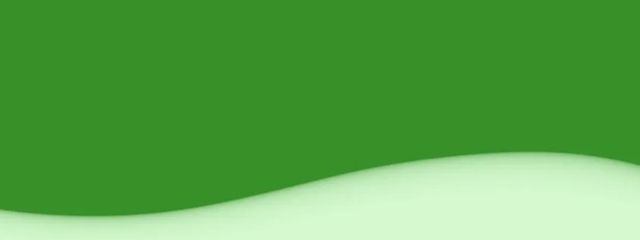 らっこさんの壁紙画像