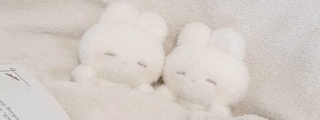 ちゃむさんの壁紙画像