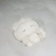 ちゃむさんのアイコン画像