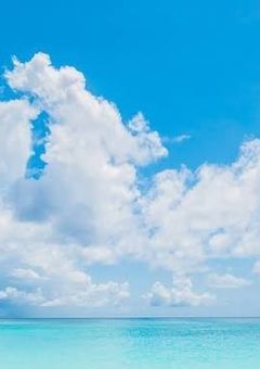 ヘタリアが私の兄弟です☆