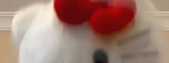 　はよんさんの壁紙画像