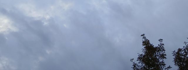 水野　香澄(澄様)　活動休止中さんの壁紙画像