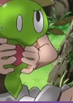 あ の 子 の 中 は 気 持 ち い い / pkmn🔞