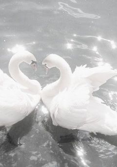 　　𝑻𝑨𝑮 ‎ꜝ❤︎⬞𓅪