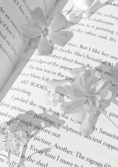 　　𝑰𝑴𝑨𝑮𝑬 𝑺𝑶𝑵𝑮 ‎ꜝ❤︎⬞♪