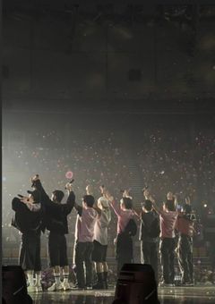 スキズのnewヨジャマンネ🐼