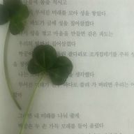 모카（もか）さんのアイコン画像